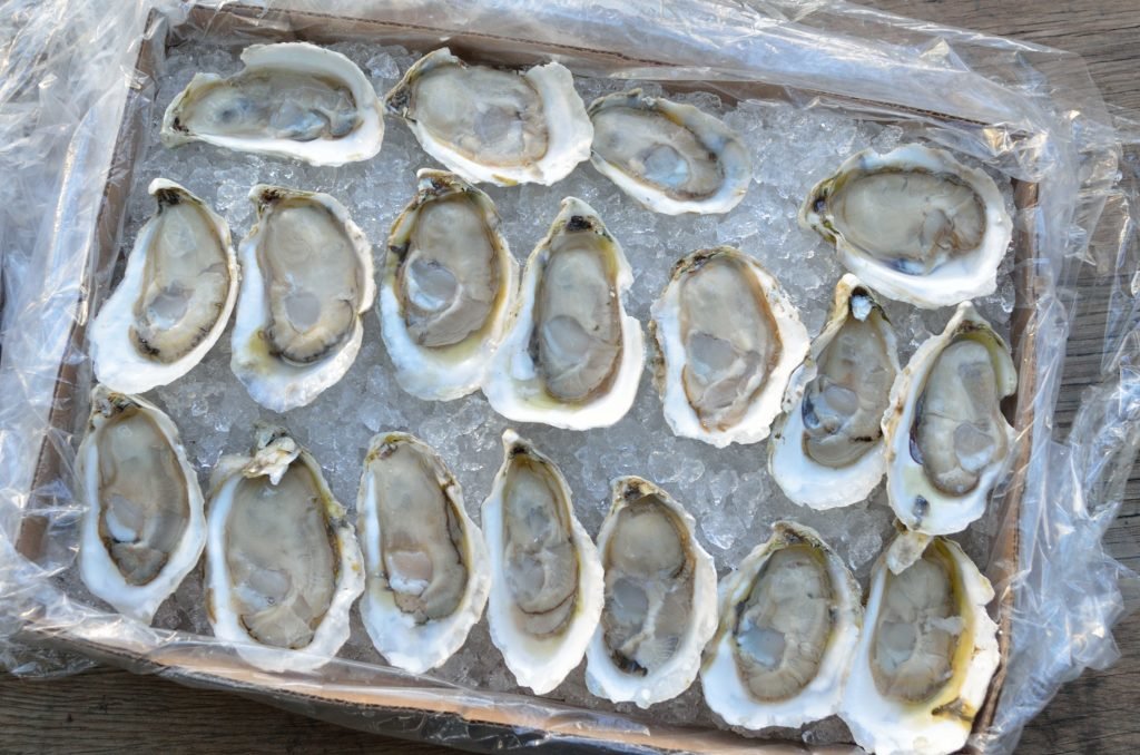 Prepare your oysters to be topped. For this, we used 2 dozen Chincoteague Oysters freshly shucked on the half shell.