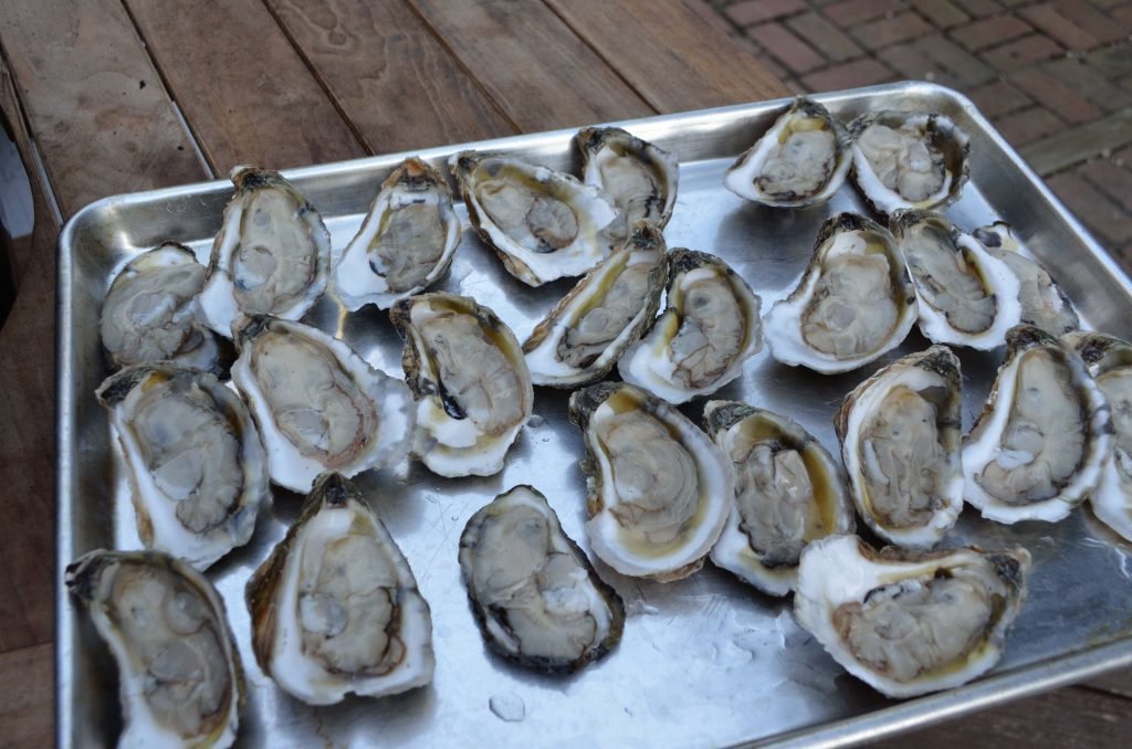Primo Barbecue Chincoteague Oysters Primo Grills & Smokers AQUA BBQ
